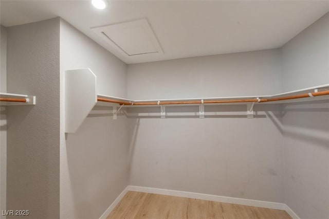6145 May River St, Las Vegas, NV 89148 - spacious closet featuring wood finished floors