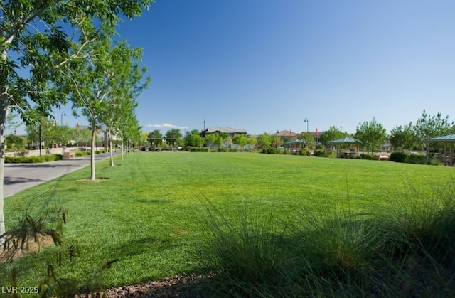 view of community with a lawn