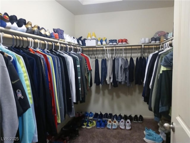 spacious closet featuring carpet