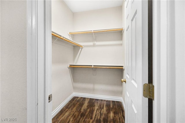 258 Chamomile Dr, Henderson, NV 89015 - walk in closet with wood finished floors