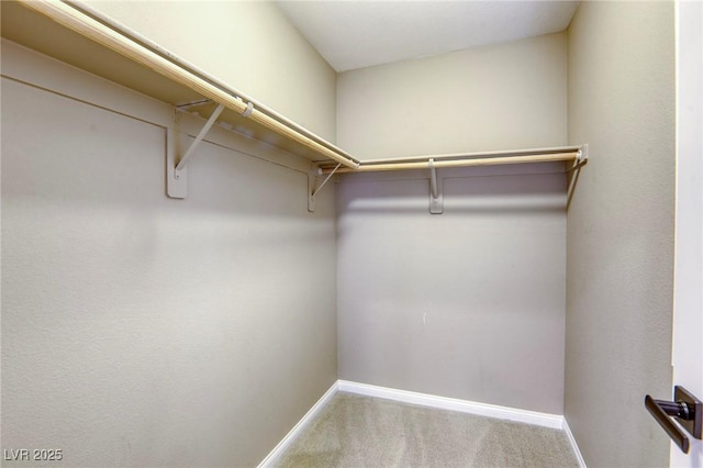 walk in closet with carpet flooring