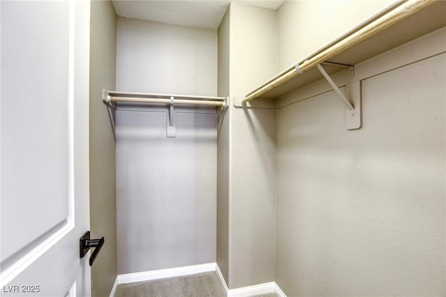 walk in closet featuring carpet flooring