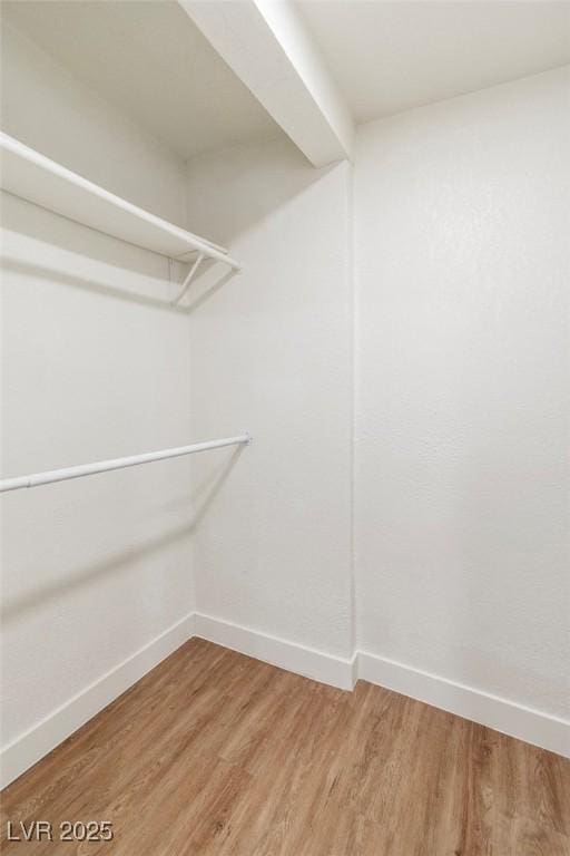 walk in closet featuring light wood-style flooring