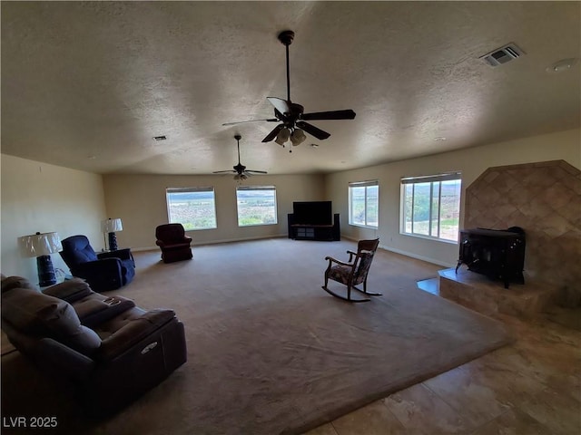 5272 Truman Ln, Caliente, NV 89008 - carpeted living room featuring a wood stove, a textured ceiling, baseboards, and ceiling fan