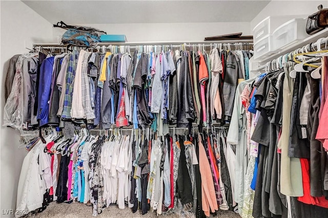 9065 Adorable Ave, Las Vegas, NV 89149 - view of spacious closet