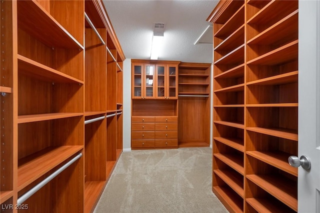 7520 Fontera Ct, Las Vegas, NV 89139 - spacious closet with carpet floors