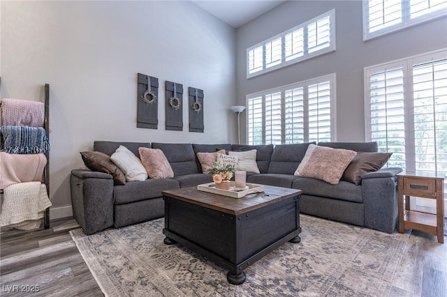 53 Grossinger Ct, Henderson, NV 89074 - living area featuring wood finished floors and a high ceiling