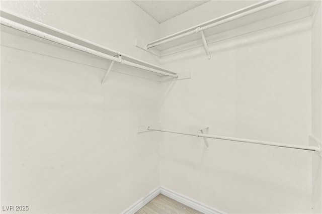walk in closet with light wood-type flooring