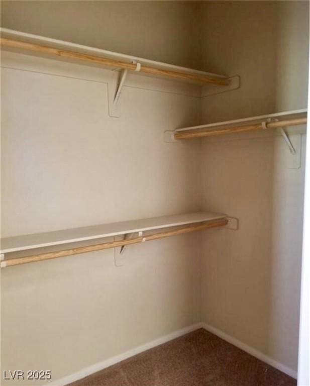 7563 Captain Lord Ct, Las Vegas, NV 89166 - walk in closet with carpet flooring