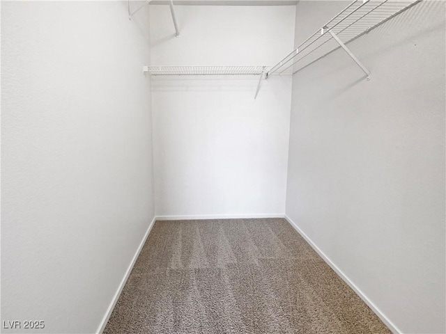 spacious closet with carpet flooring