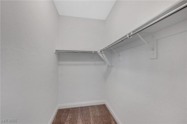 walk in closet with carpet flooring