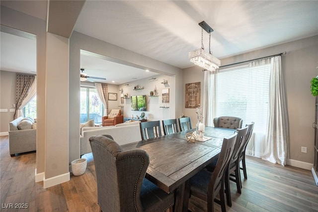 3698 Regatta Landing Dr, Las Vegas, NV 89141 - dining room with hardwood / wood-style floors, baseboards, and ceiling fan