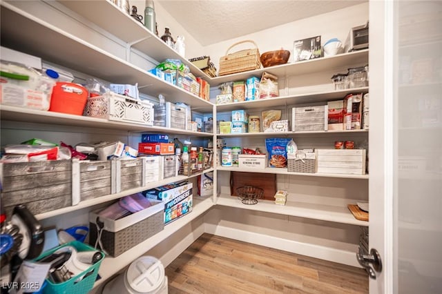 3698 Regatta Landing Dr, Las Vegas, NV 89141 - view of storage area