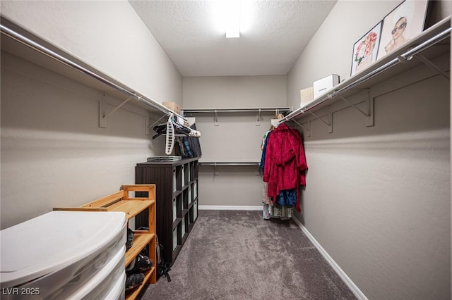 3698 Regatta Landing Dr, Las Vegas, NV 89141 - walk in closet featuring carpet