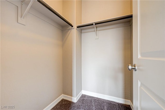 spacious closet with carpet floors