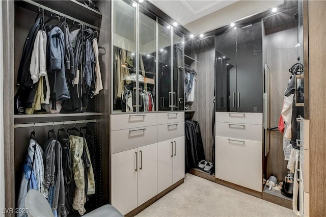 11280 Granite Ridge Dr Unit 1035, Las Vegas, NV 89135 - view of walk in closet