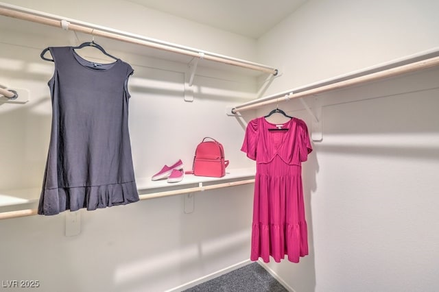 walk in closet with carpet flooring