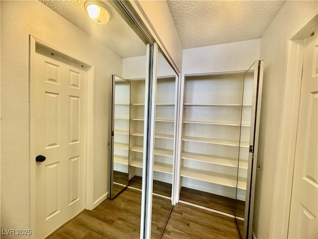 3151 Soaring Gulls Dr Unit 1023, Las Vegas, NV 89128 - view of closet