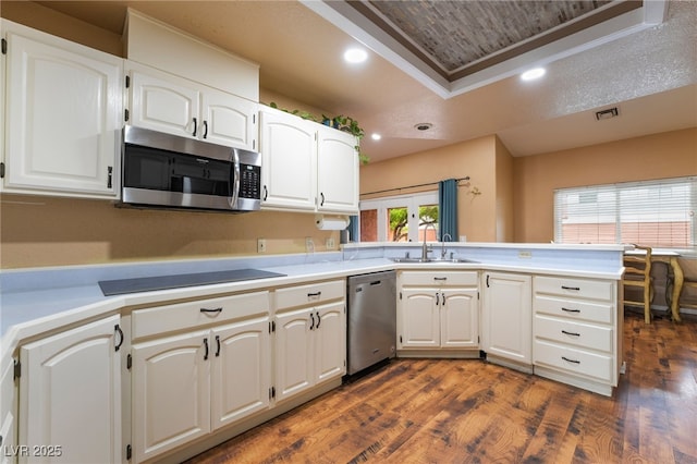 120 N Phyllis St, Las Vegas, NV 89110 - kitchen with stainless steel appliances, a peninsula, a tray ceiling, a sink, and dark wood-type flooring
