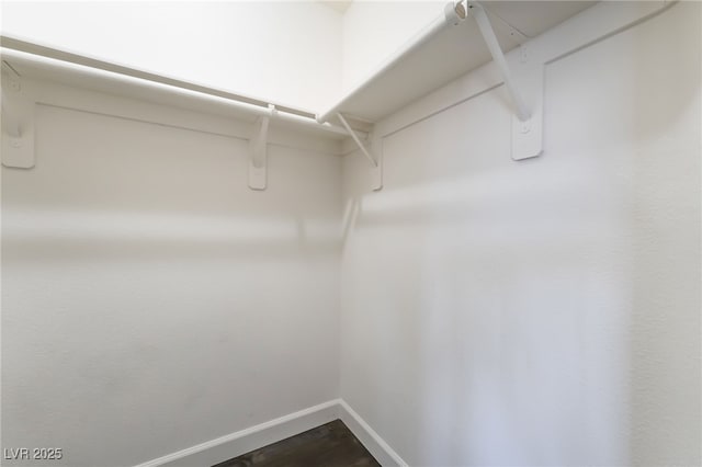 spacious closet featuring dark wood-style floors