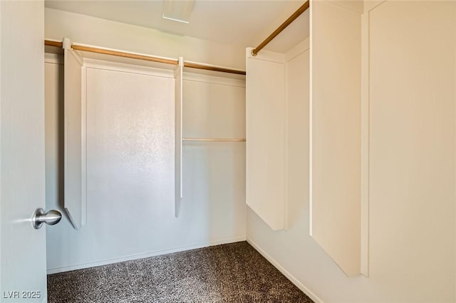 2728 Holmfault St, Henderson, NV 89044 - view of walk in closet