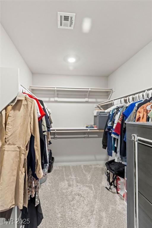 walk in closet featuring carpet flooring