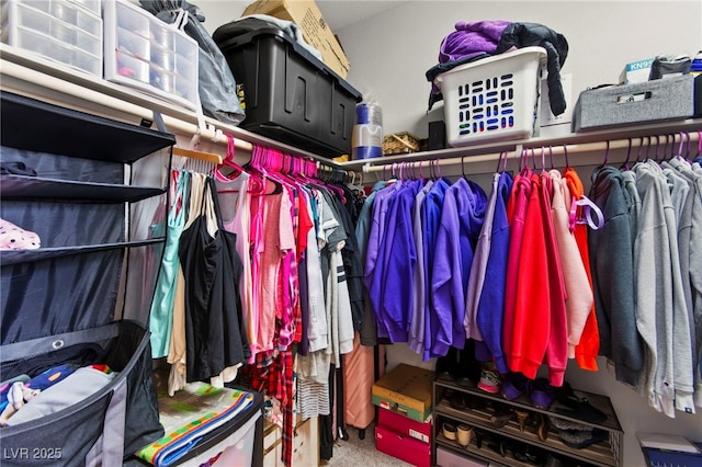 2672 Painted Mist Ct, Las Vegas, NV 89142 - walk in closet featuring carpet