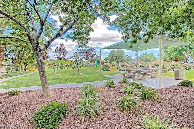 view of property's community with a yard