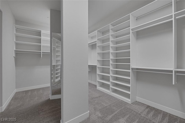 11088 Westcroft Way, Las Vegas, NV 89183 - spacious closet with carpet floors