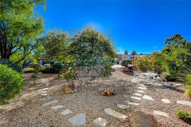 10302 Cara Mia Ct, Las Vegas, NV 89135 - view of yard with a patio area