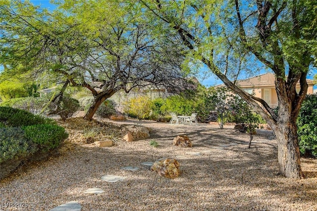 10302 Cara Mia Ct, Las Vegas, NV 89135 - view of yard