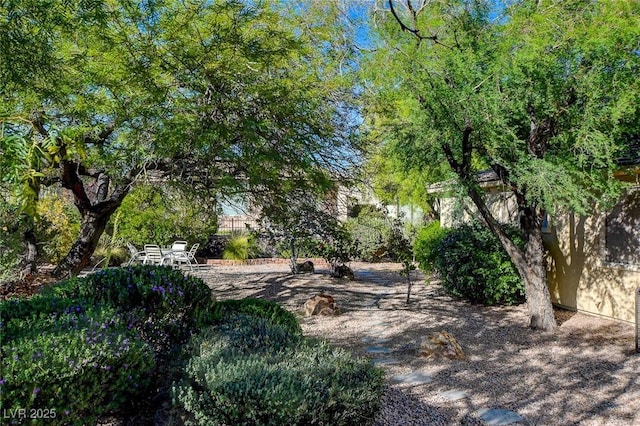 10302 Cara Mia Ct, Las Vegas, NV 89135 - view of yard