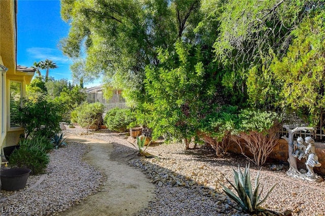 10302 Cara Mia Ct, Las Vegas, NV 89135 - view of yard with fence