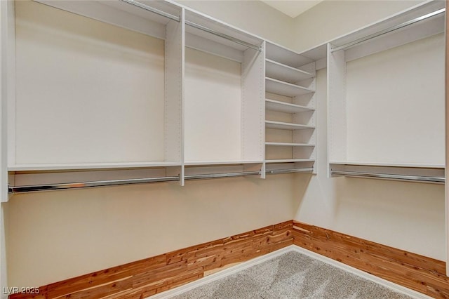 10302 Cara Mia Ct, Las Vegas, NV 89135 - walk in closet with carpet floors