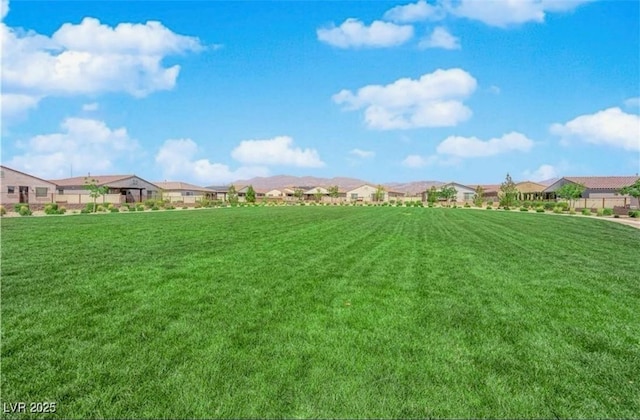 view of grassy yard featuring a residential view