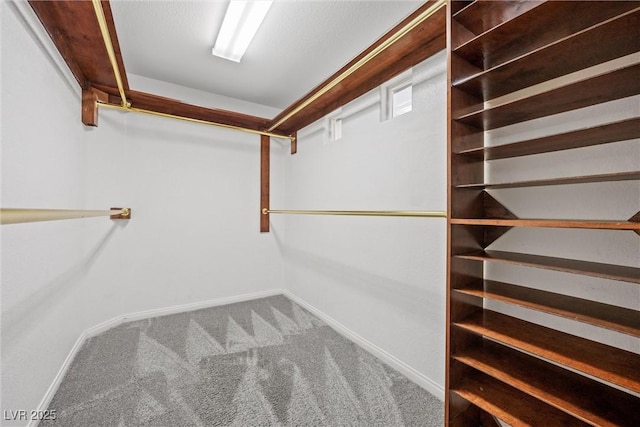 walk in closet with carpet flooring