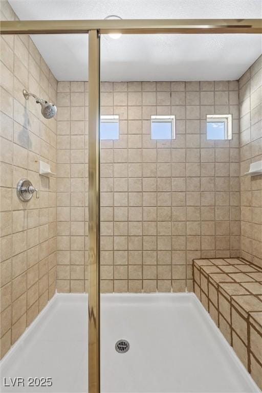bathroom with a shower stall