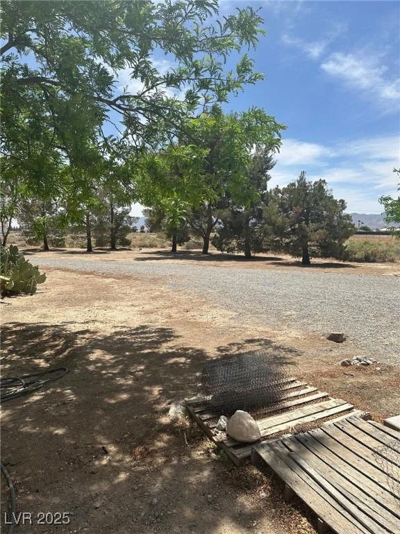 1461 E Elderberry St, Pahrump, NV 89048 - view of yard