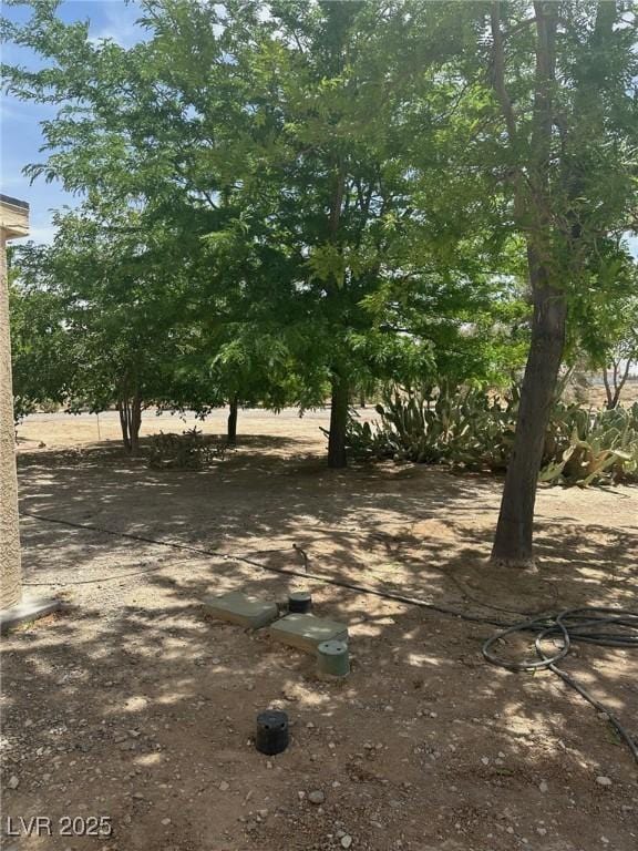 1461 E Elderberry St, Pahrump, NV 89048 - view of yard