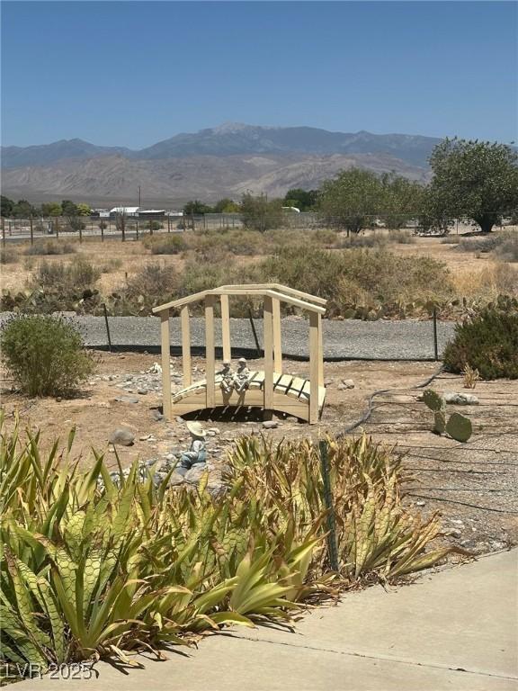 1461 E Elderberry St, Pahrump, NV 89048 - view of mountain background