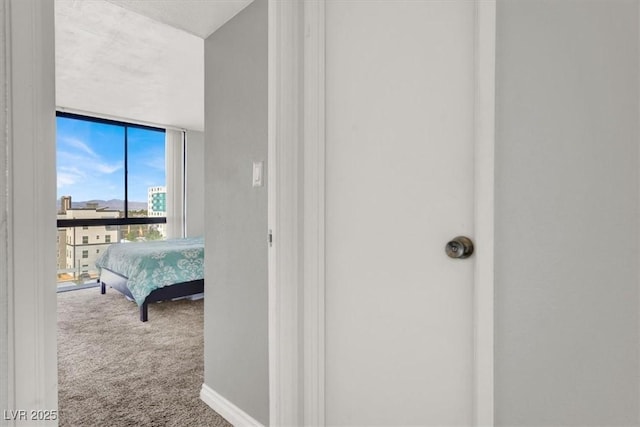 3930 University Center Dr Unit 603, Las Vegas, NV 89119 - corridor with a wall of windows and carpet