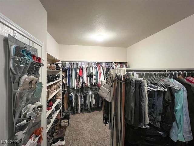 7310 Heggie Ave, Las Vegas, NV 89131 - walk in closet with carpet