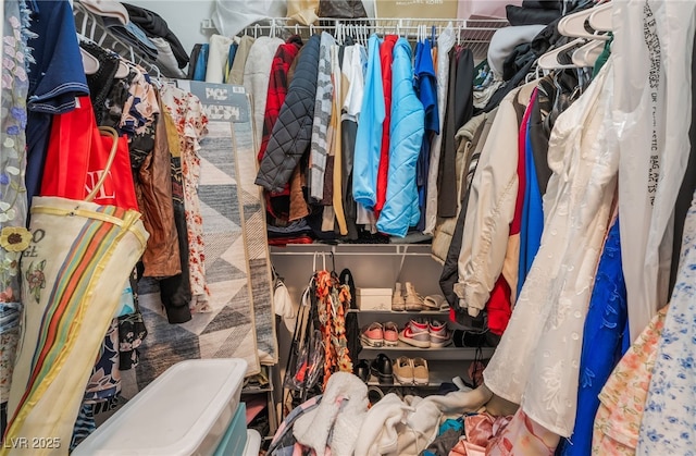 9513 Perennial View Ave, Las Vegas, NV 89148 - view of spacious closet