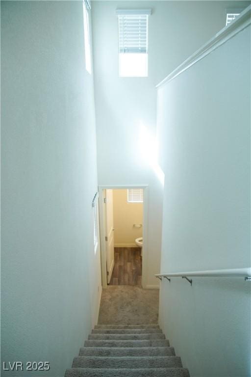 stairway with a towering ceiling