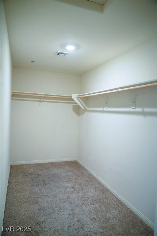 2761 Frosted Teal Ave, North Las Vegas, NV 89086 - walk in closet with carpet flooring