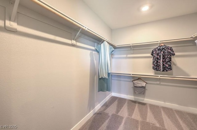 1220 Eva Creek Dr Unit 35, North Las Vegas, NV 89084 - spacious closet featuring carpet flooring