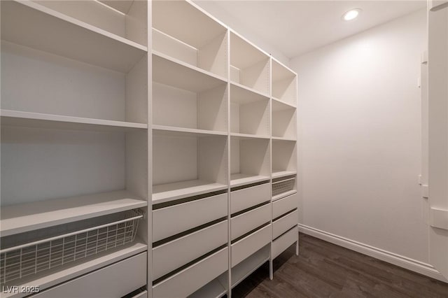walk in closet with dark wood-style floors