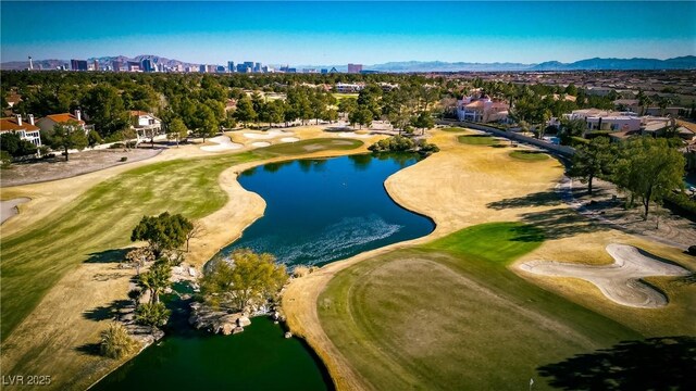 52 Innisbrook Ave, Las Vegas, NV 89113 - photo 51