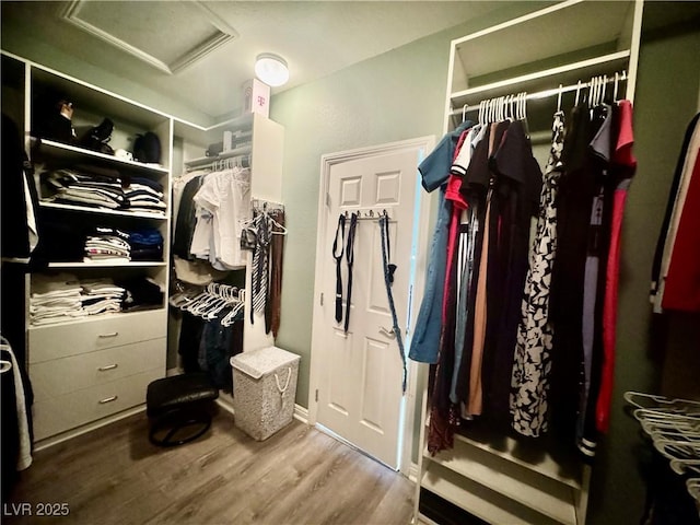 640 House Blend Ln, Henderson, NV 89052 - walk in closet with attic access and wood finished floors