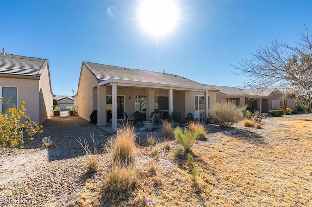 rear view of property with a patio area, stucco siding, and a tiled roof